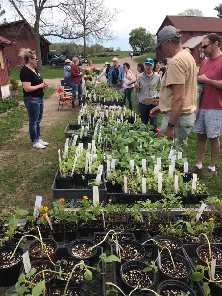 Spring Celebration and Plant Sale at Stony Kill