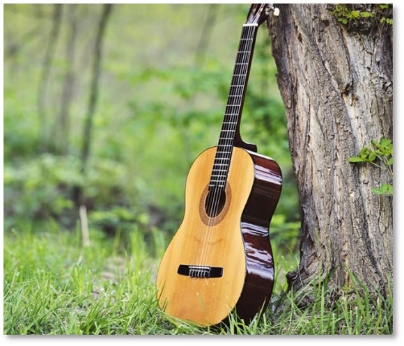 Music in the Parks at Vanderbilt Mansion National Historic Site