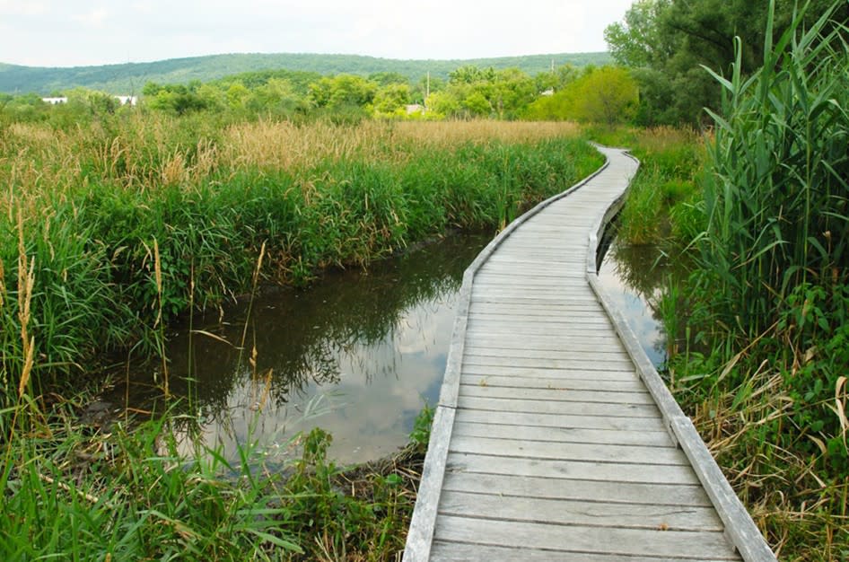 Native Landscapes Earth Day Celebration 2026