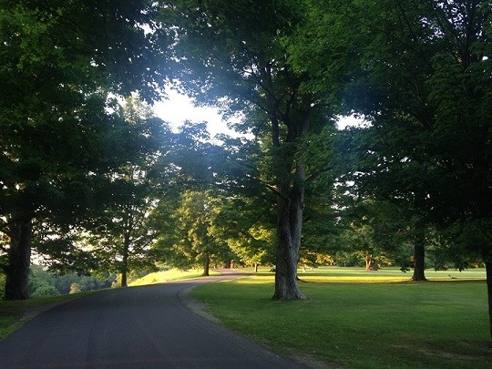 Fall Into Fitness 5K Run/Walk at Vanderbilt Mansion
