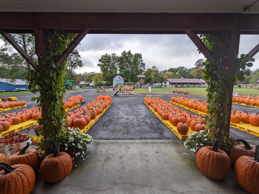 Kesicke Farm Fall Festivals