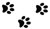 Animal-tique Roadshow