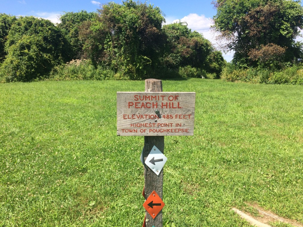 "Run For the Hill of It" 5K Race at Peach Hill Park
