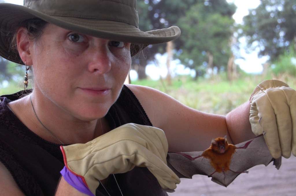 Lecture: Life & Death on the Wing. Bat Conservation at the Cary Institute in Millbrook