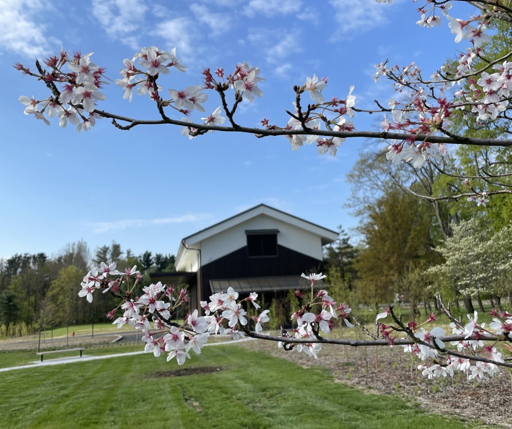 Scenes from around Dassai Blue Sake Brewery in Hyde Park