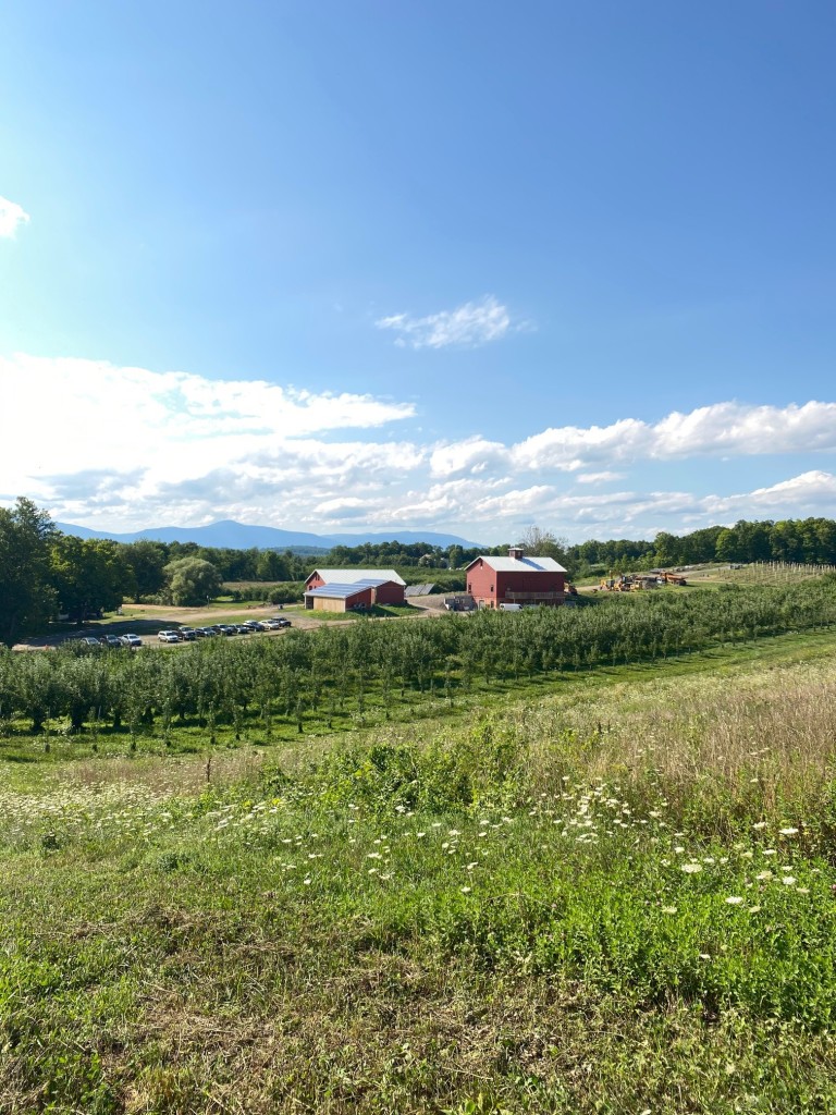 Outdoor Art Classes on Rose Hill Farm