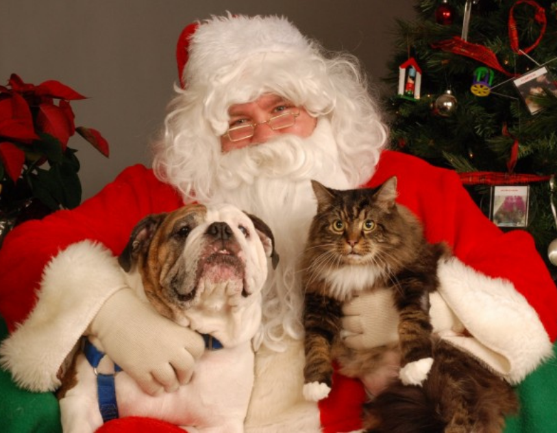 Santa Paws at Poughkeepsie Galleria!