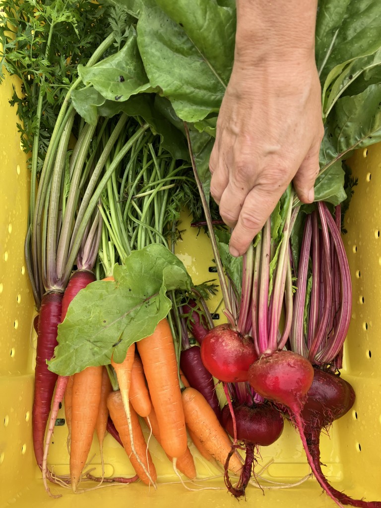 "Small Space, Serious Veg: Techniques from the Roosevelt Home Garden"