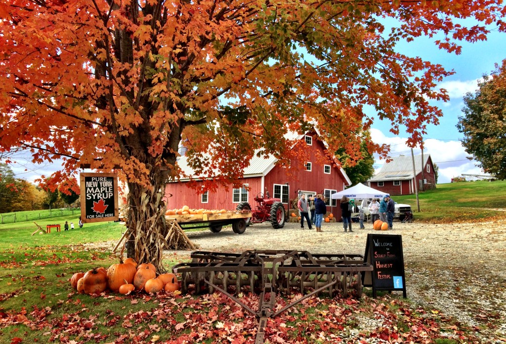 Soukup Farms Harvest Festival