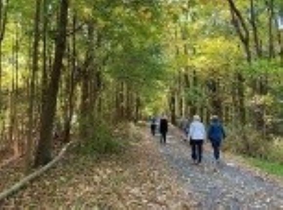 Guided Landscape Walk of Staatsburgh's Grounds: What You See and What You Don't See