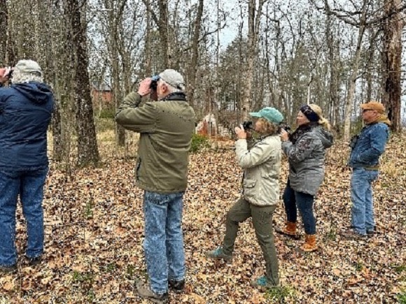 Birding Walk at Staatsburgh State Historic Site