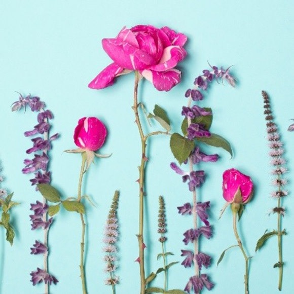 Flower Hammering Workshop at Staatsburgh State Historic Site