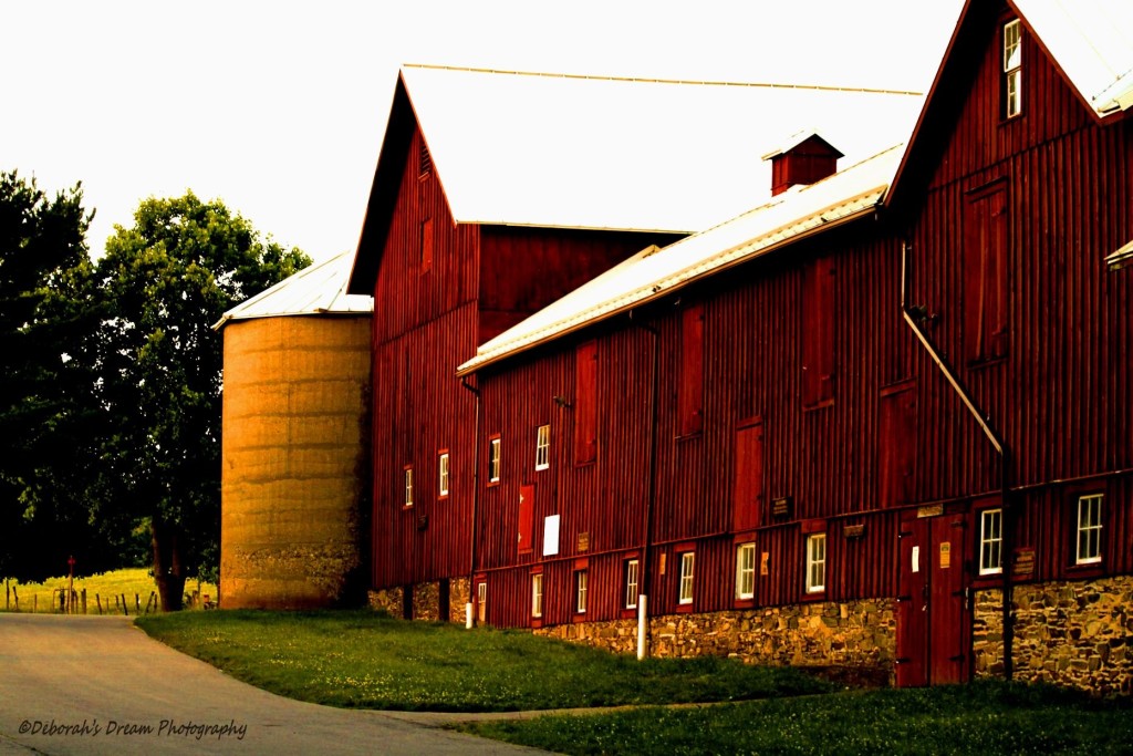Cancelled: Outdoors Day at Stony Kill Farm & Education Center