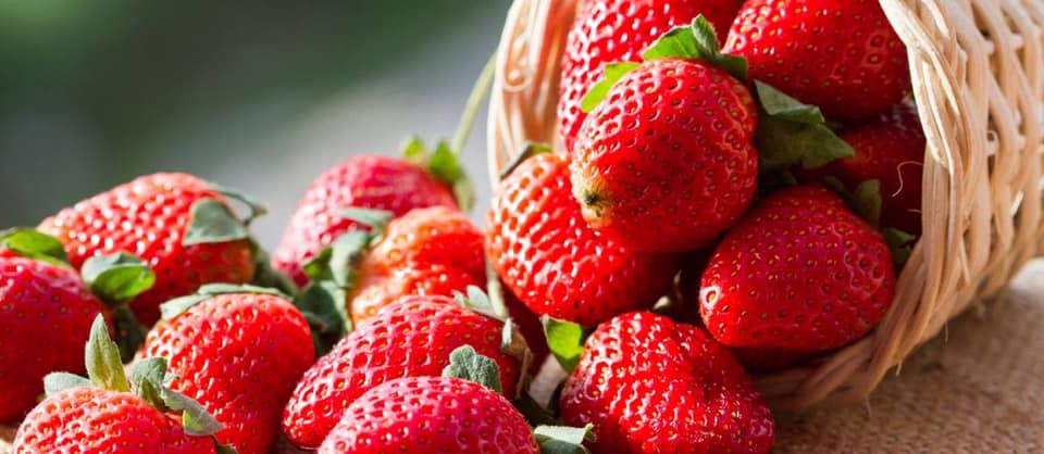 East Fishkill Historical Society Annual Strawberry Festival