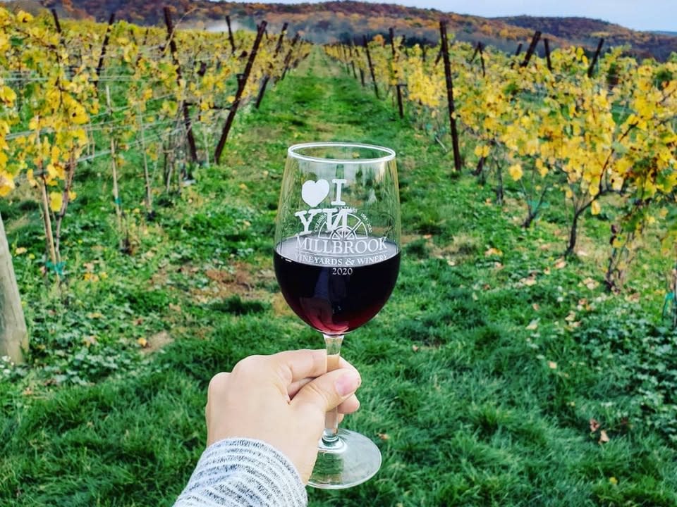 A hand holding a glass of Cabernet franc with the vineyard in the background at Millbrook Winery.