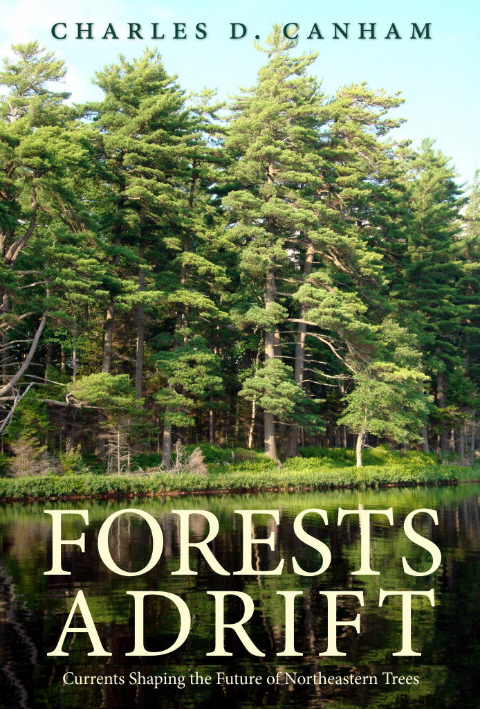 VIRTUAL Lecture: Forests Adrift. The Future of Northeastern Forests host by the Cary Institute of Ecosystem Studies