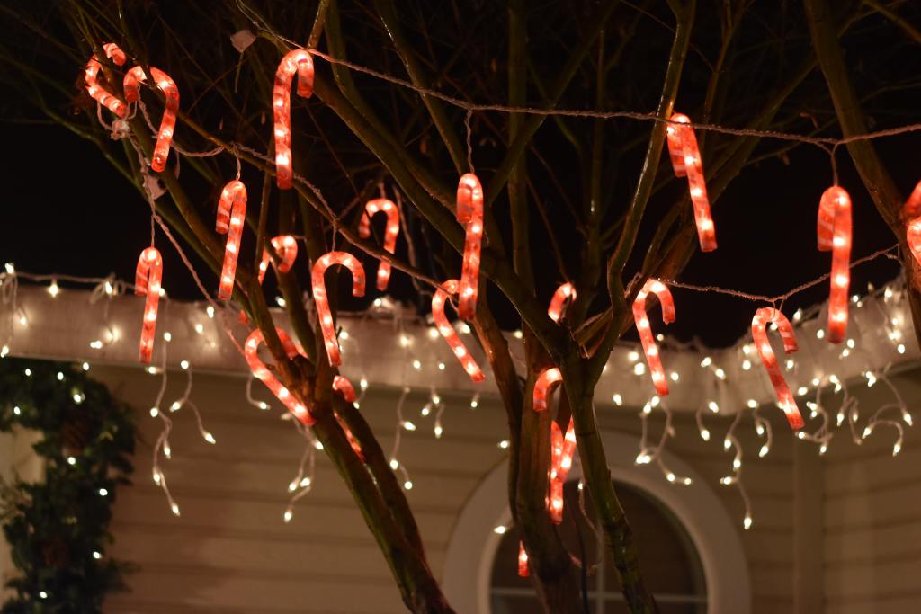 Merry & Bright Hyde Park Holiday Display