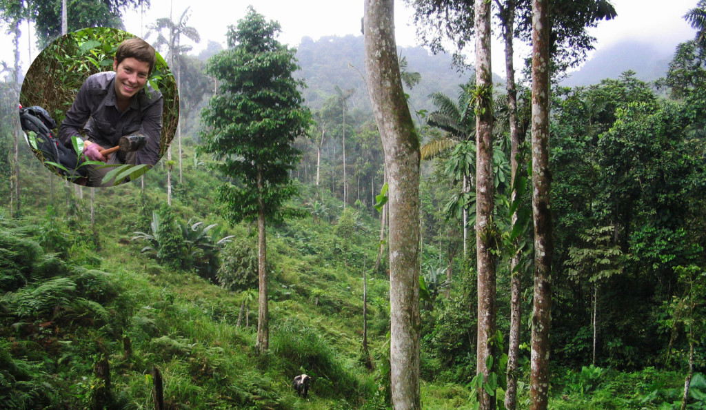 Restoring Resilient Tropical Forests at Cary Institute of Ecosystem Studies