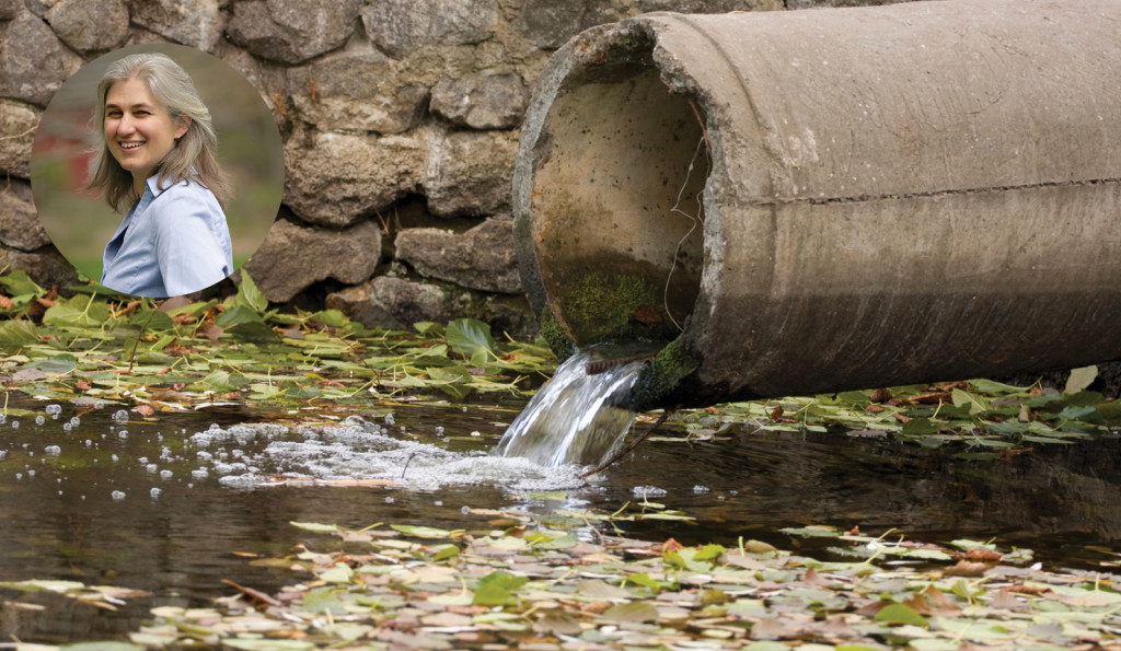 Virtual Lecture | Pharmaceutical Pollution: A Growing Threat to Our Rivers & Streams.