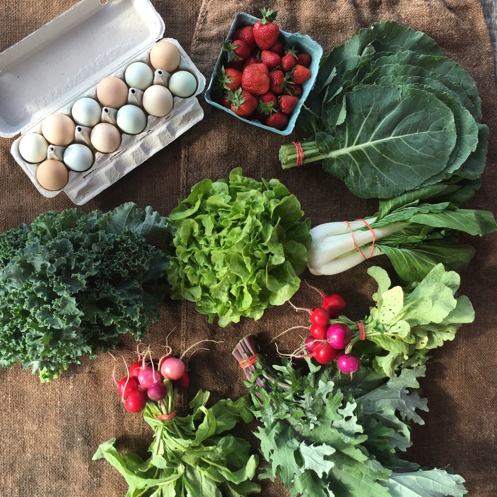 Pawling Farmers Market