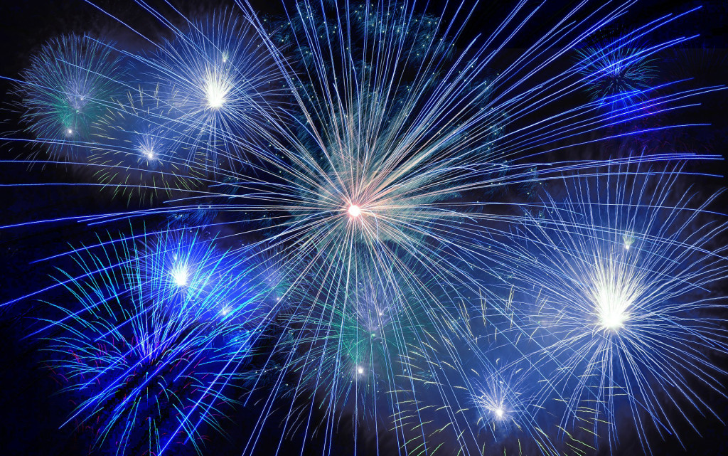 Independence Day & 30th Anniversary Celebration at Mid-Hudson Children