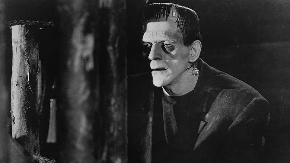 Stissing Center Presents a Screening of the Film "Frankenstein" with a New Chamber Ensemble Score