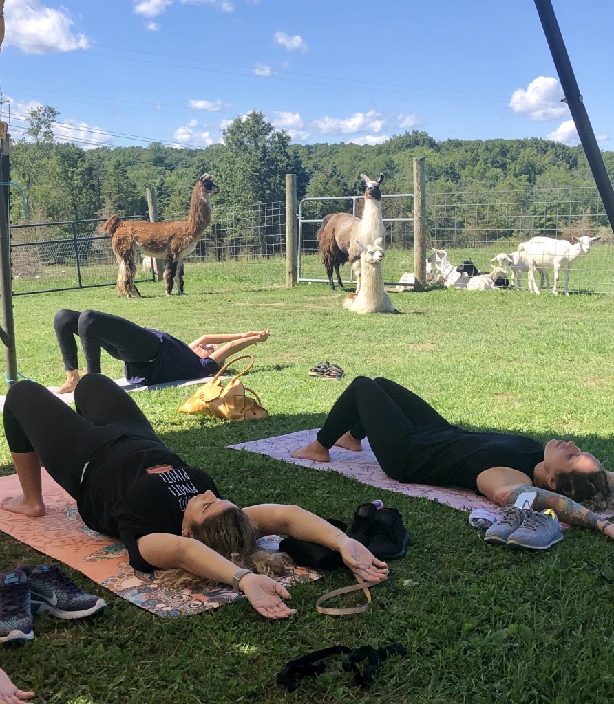 Yoga on Clover Brooke Farm