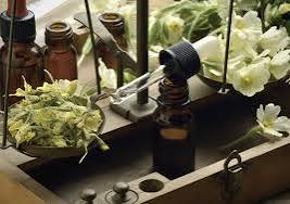 Forage & Blend Experience at Silverbrook Manor