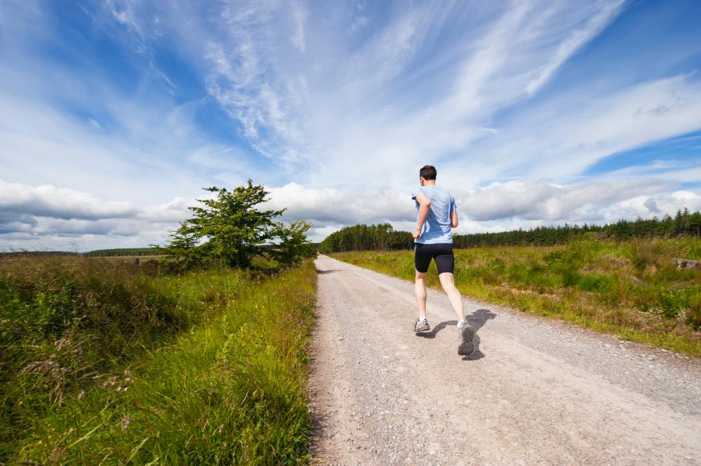Mid-Hudson Road Runner