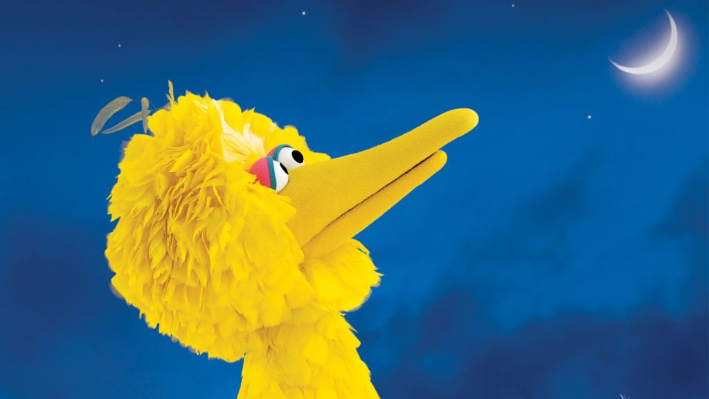 One World, One Sky: Big Bird's Adventure Planetarium Show at the Mid-Hudson Discovery Museum
