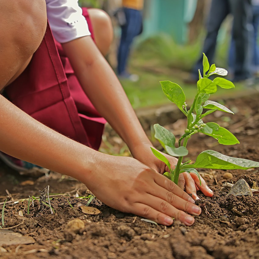 Fertile Minds Gardening Time at Mid-Hudson Children