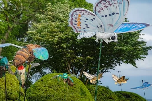 The Great Pollinator Ramble at Innisfree Garden