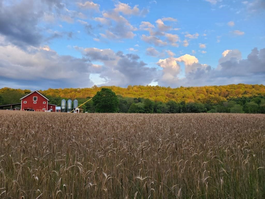 Branchwater Farms in Milan