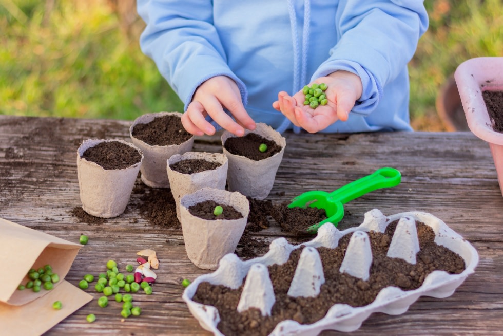 Earth Day Seed Planting at the Mid-Hudson Discovery Museum