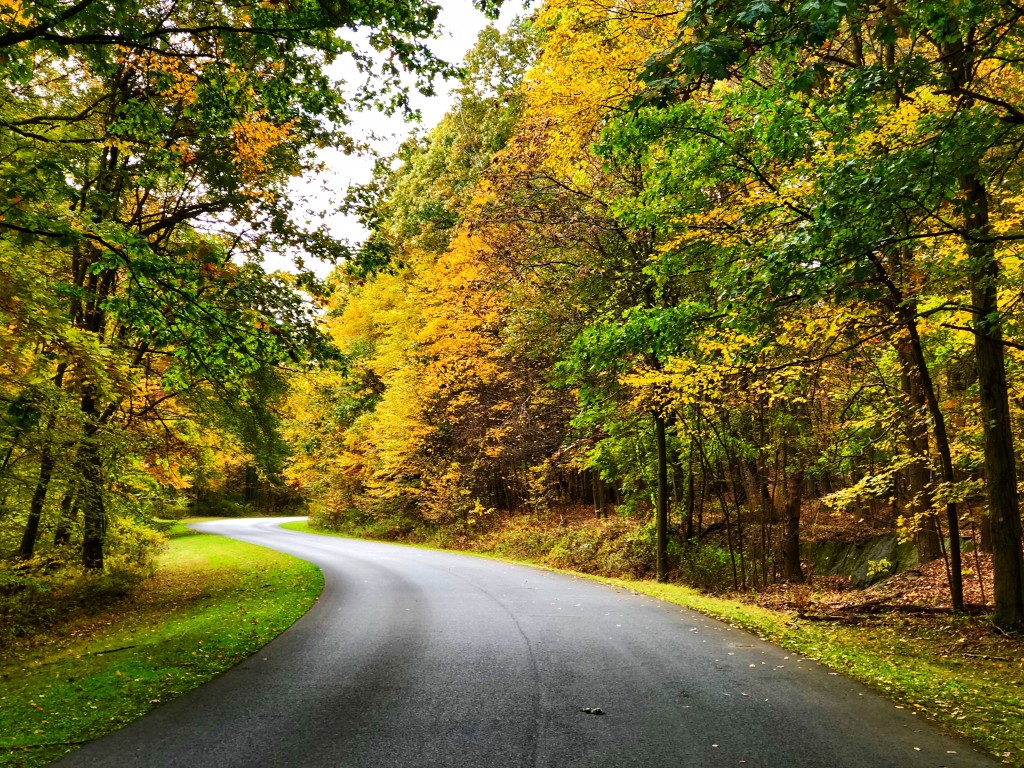History Hidden in the Woods: Guided Trail Hike at Staatsburgh State Historic Site