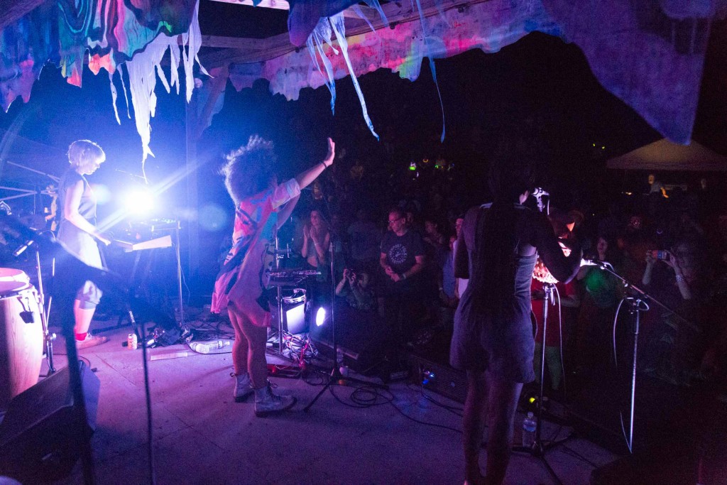 Wassaic Project Summer Festival