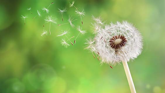 Dutchess County Event Calendar | Things to do in Dutchess