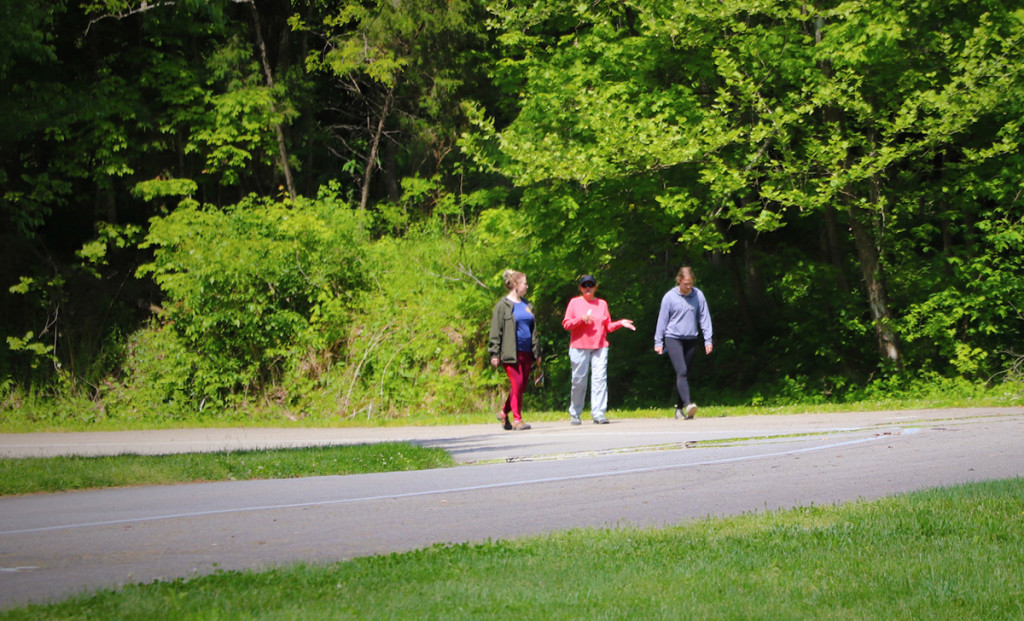 Midweek Nature Stroll: Mellow Morning