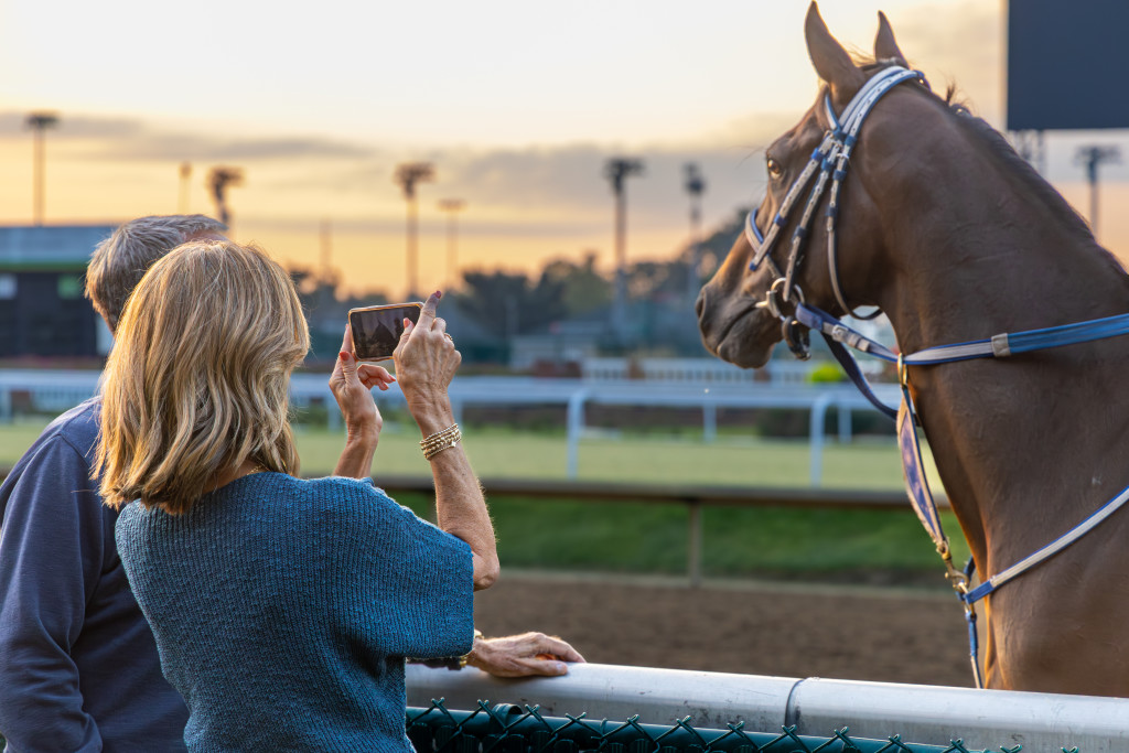 Thoroughbred Workout Tour