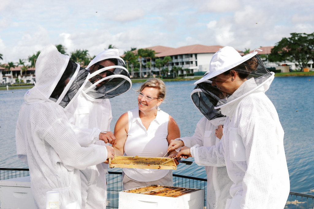 Bee Experience photo