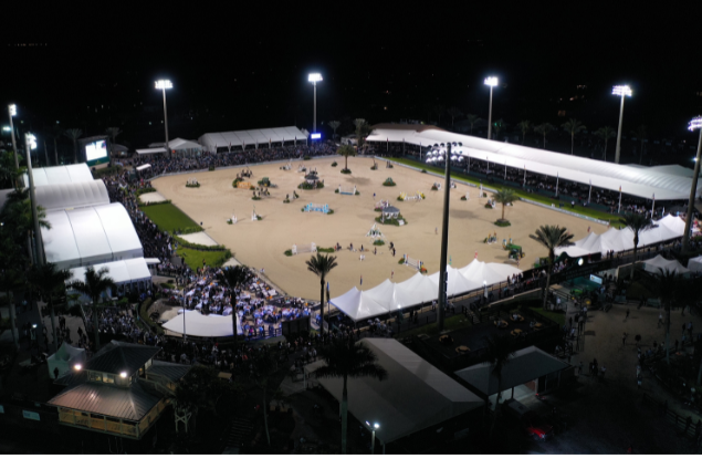 Winter Equestrian Festival photo