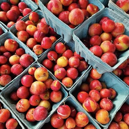 Delray Winter GreenMarket RETURNS photo
