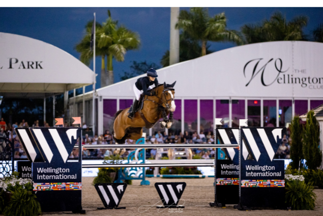 Winter Equestrian Festival photo