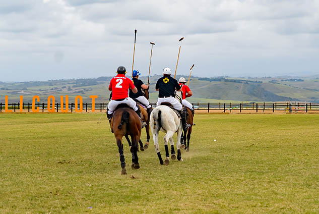 Affluence Black Polo: A Luxury Lifestyle Experience photo