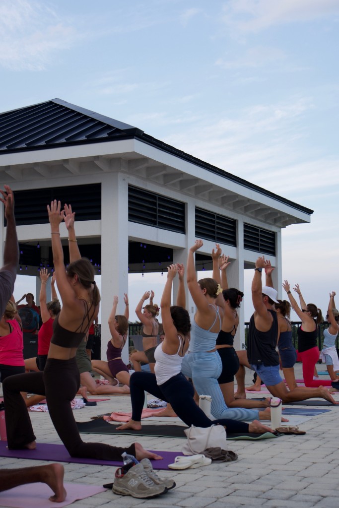 Foto de «Cachorros y yoga en la azotea»