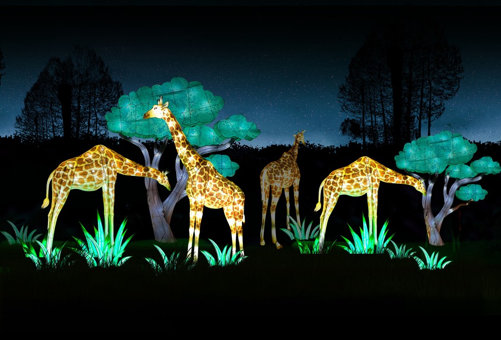 Lanterns & Lights Safari Nights photo