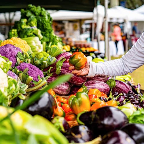 Delray Winter GreenMarket RETURNS photo