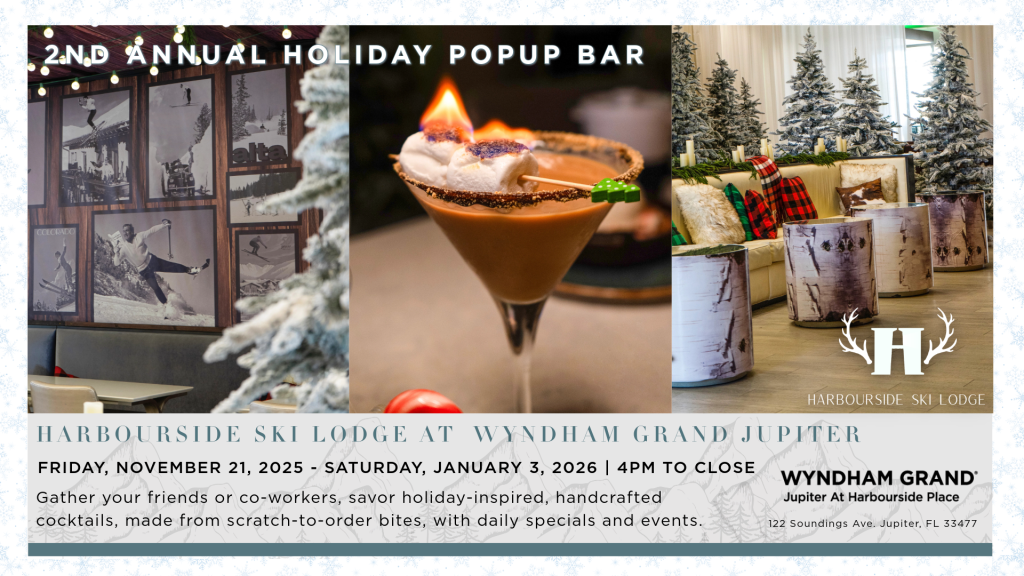 Harbourside Ski Lodge photo