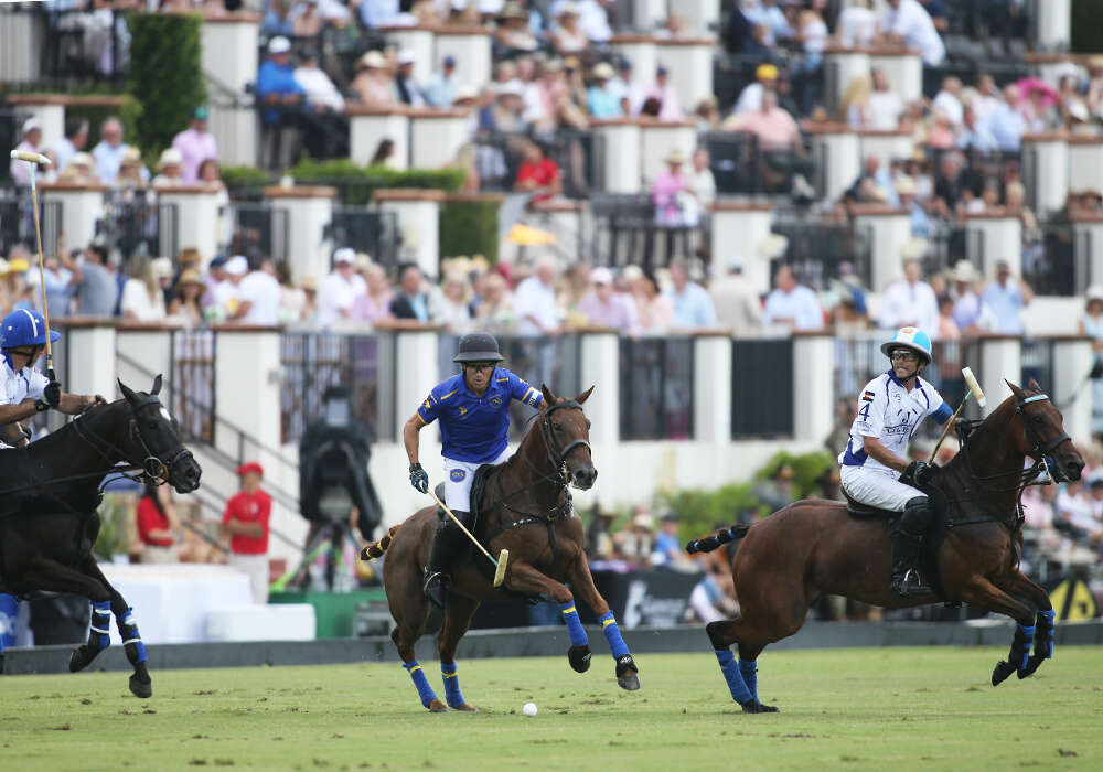 Foto de la temporada de polo