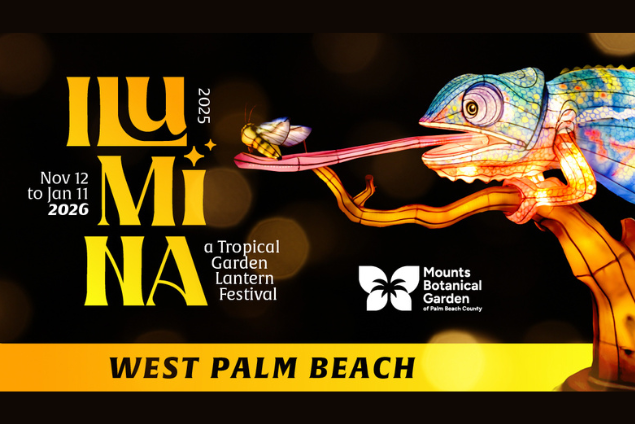 ILUMINA: A Tropical Garden Lantern Festival at Mounts Botanical Garden photo